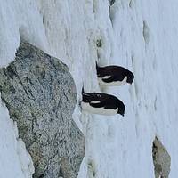 Expeditie naar de Zuidpoolcirkel: foto van de reiziger #2