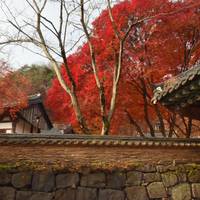 2026 Entdecken Sie Korea in 7 Tagen: Ein kuratiertes All-Inclusive-Erlebnis mit DMZ-Touroption Reise-Foto #3