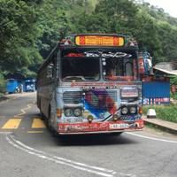 El esplendor de Sri Lanka - Circuito de 8 días y 7 noches en Ski Lanka: foto del viajero #1