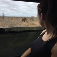 Kruger & Coast (5 destinations) traveler photo #1