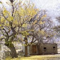 Herbstliches Pakistan: Islamabad, Skardu, Nager Valley, Hunza, Gojal Valley & Gilgit-Baltistan Reise-Foto #1