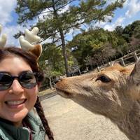 Essential Japan GO traveler photo #1