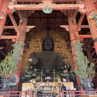 Essential Japan GO traveler photo #2