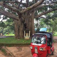Photo de voyageur Splendeur du Sri Lanka - - Circuit de 8 jours et 7 nuits au Sri Lanka #2