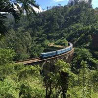Photo de voyageur Splendeur du Sri Lanka - - Circuit de 8 jours et 7 nuits au Sri Lanka #3