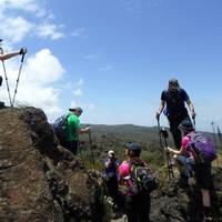8-Day Kilimanjaro Lemosho Route – Perfect for Beginners and Nature Lovers traveler photo #3