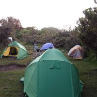8-Day Kilimanjaro Lemosho Route – Perfect for Beginners and Nature Lovers traveler photo #2