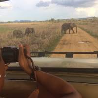 Safari de 3 días y 2 noches a Mikumi Wildlife Lodge: foto del viajero #1