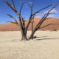 Photo de voyageur Safari en camping à prix réduit dans le sable, la mer et Etosha - 6 jours #2