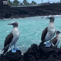 Descubriendo Galápagos: foto del viajero #2