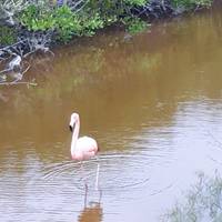 Descubriendo Galápagos: foto del viajero #3