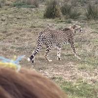 Photo de voyageur Aventure sur la Route des jardins - 4 jours #3