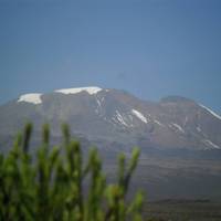 Kilimanjaro ruta del circuito norte escalada privada 10 días: foto del viajero #1