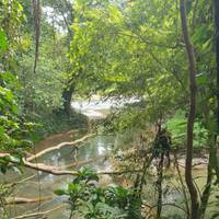 Ostküste Australien (6 Wochen) Reise-Foto #2