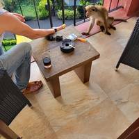 Semi-luxueuze rondreis door Sri Lanka: foto van de reiziger #2