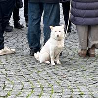 Kerstmarkten van Duitsland (Klassiek): foto van de reiziger #3