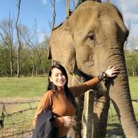 Photo de voyageur Safari dans la jungle de Chitwan #1