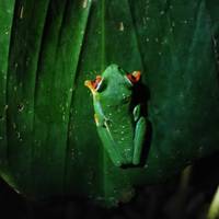 Vakantie in Costa Rica: foto van de reiziger #1