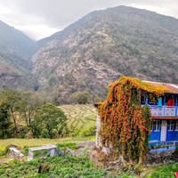 Poon Hill trek: foto van de reiziger #3