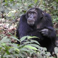 Photo de voyageur 10 jours de safari dans l