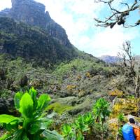 Photo de voyageur Aventure Safari intensif à travers l