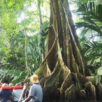 Classic Costa Rica traveler photo #1