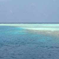 Maldive Dhoni Cruise traveler photo #2