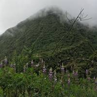 Salkantay Trek 5 Días a Machu Picchu - Glamping &amp; Vistadome: foto del viajero #2