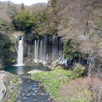 Essential Japan traveler photo #3