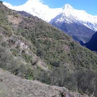 Korte Annapurna Basiskamp trektocht - 7 dagen: foto van de reiziger #1