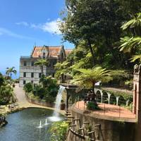 Wandelen op Madeira: foto van de reiziger #3