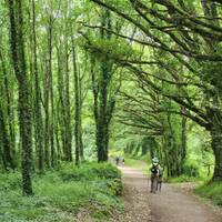 Photo de voyageur Marcher sur le Camino de Santiago #2