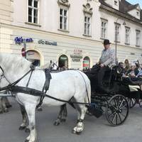 Praga, Viena y Budapest (Todo el verano y 26/27 invierno en adelante): foto del viajero #2