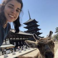 Stunning Japan with Shirakawa-go (private 3 star hotel rooms) traveler photo #1