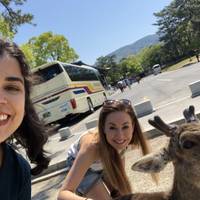 Stunning Japan with Shirakawa-go (private 3 star hotel rooms) traveler photo #2