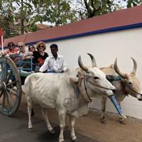 Classical South India - Tamilnadu And Kerala ! traveler photo #3