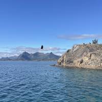 Northern Norway Explorer traveler photo #1