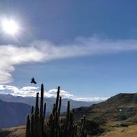 Lima und das Beste aus Südperu: Lima, Colca Canyon, Titicaca See, Cusco, das Heilige Tal & Machu Picchu Reise-Foto #1