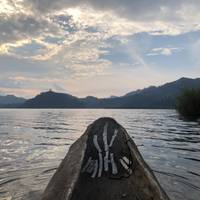 4 Day Gorillas, Wildlife and Chimp Trek at Kalinzu Forest traveler photo #1