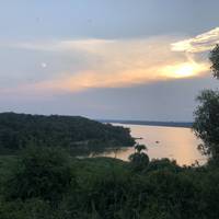 4 Day Gorillas, Wildlife and Chimp Trek at Kalinzu Forest traveler photo #2