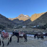 Lares Trek en Korte Inca Trail naar Machu Picchu 5 dagen 4 nachten: foto van de reiziger #1