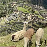 Classic Machu Picchu Tour 4 Days: Cusco + Sacred Valley traveler photo #2