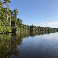 3 days - Tambopata Amazon Jungle traveler photo #3