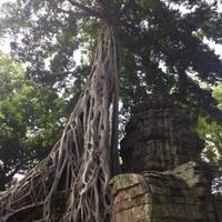 Angkor Cycling Adventure traveler photo #2