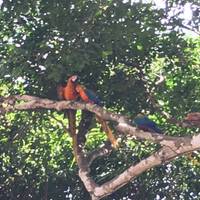 Photo de voyageur Aventure au Costa Rica 8J/7N #3