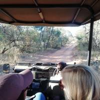 3 Day | Entabeni Nature Conservancy traveler photo #3