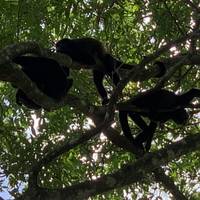 De essentie van Costa Rica - een reispakket - incl. Guanacaste: foto van de reiziger #1