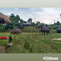 Chitwan Safari - 3 Nächte/4 Tage Reise-Foto #2