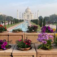 Delhi Taj Mahal And Jaipur Pink City 3 Days traveler photo #3