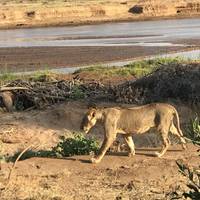 Kenya Camping Safari traveler photo #3